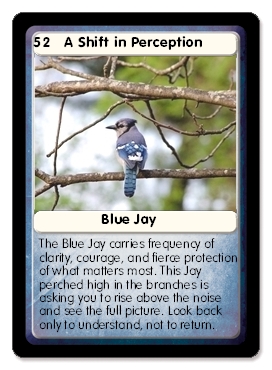 KAI Visions oracle card sample