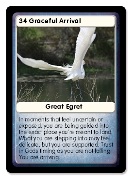 Egret oracle card
