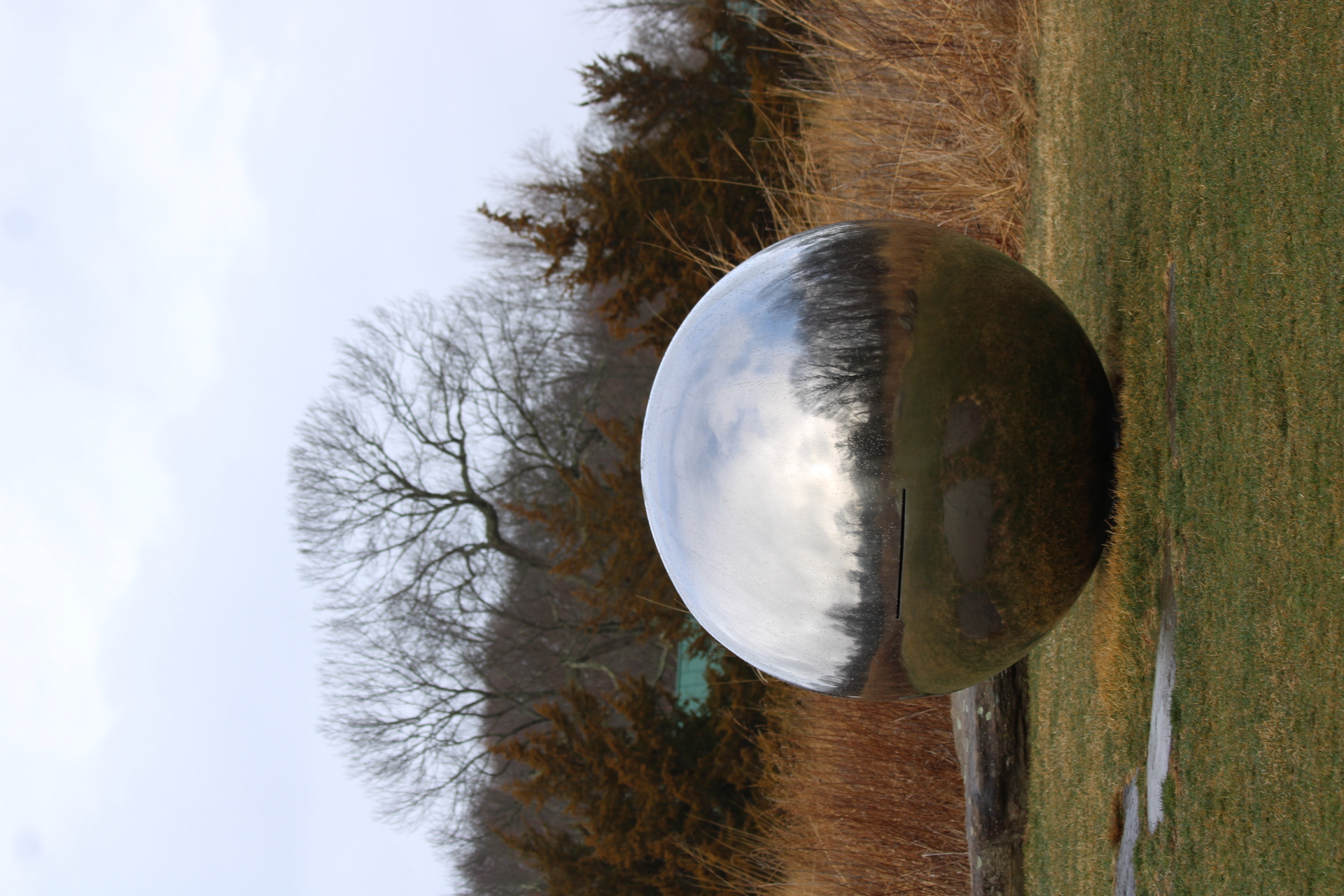 Reflective orb in nature